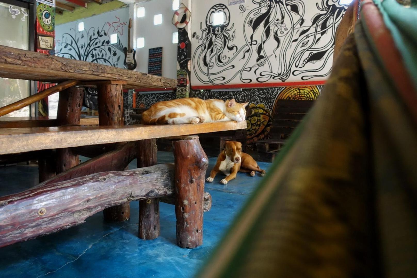 Casa Surf Mar Azul Otel Palomino Dış mekan fotoğraf